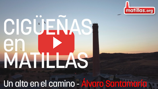 Alvaro Santamaría - Cigüeñas en Matillas. Un alto en el camino