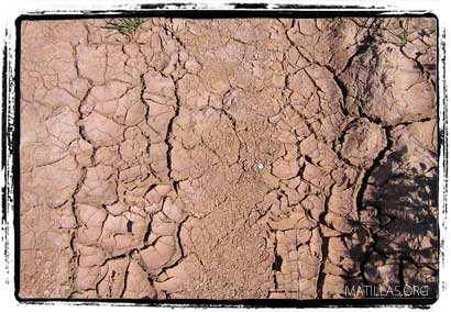 La pertinaz sequia que no cesa