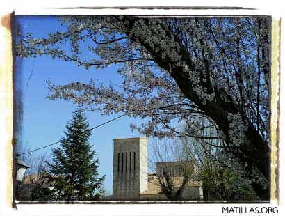 En Flor. Foto A.D.R.