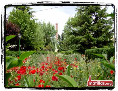 Primavera en Matillas