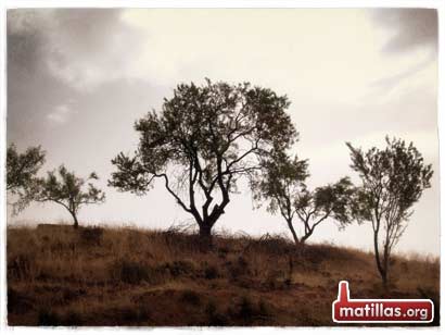 En el lejano Oeste...