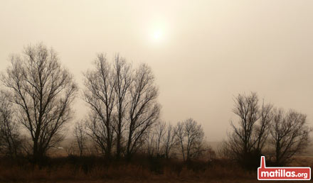 Niebla del riachuelo