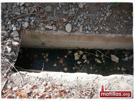 Sin protección en el Turbo