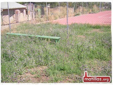 Antiguamente en el Polideportivo