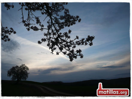Primavera en Matillas
