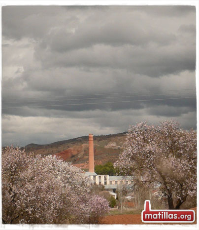 Primavera en Matillas