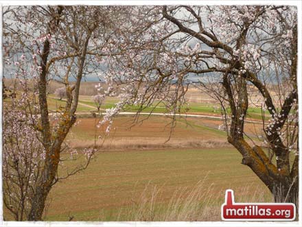 Primavera en Matillas