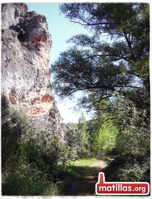 Parque Natural Barranco del río Dulce