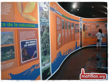 Parque Natural Barranco del Río Dulce