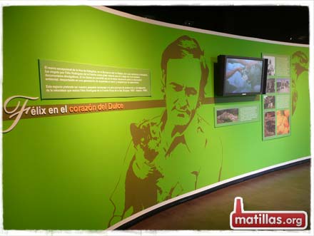 Parque Natural Barranco del Río Dulce