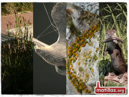 Parque Natural Barranco del Río Dulce