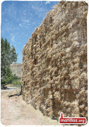 Allá en las montañas