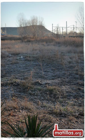 Escarcha en Matillas