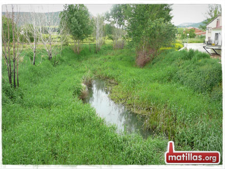 Alimañas & calandracas