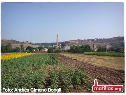 Panorámica de Matillas
