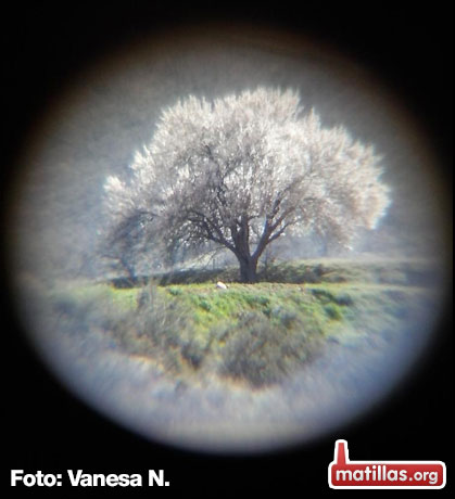 La primavera ya lleg&oacute;