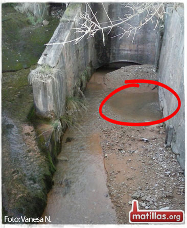 Grietas en la central de Bujlaro