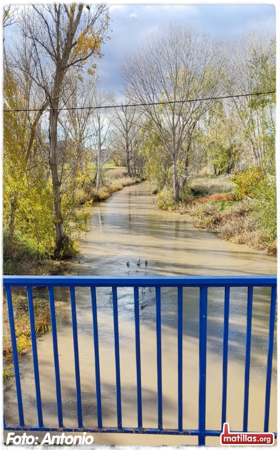 Henares en diciembre de 2023