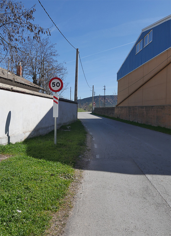 Patrulla ovina al rescate