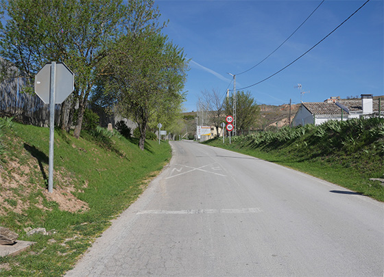 Patrulla ovina al rescate